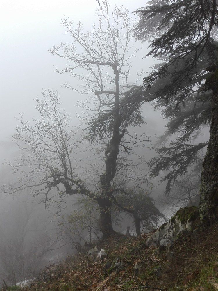 Photograph by MADJID MESSAOUD KHELIFI