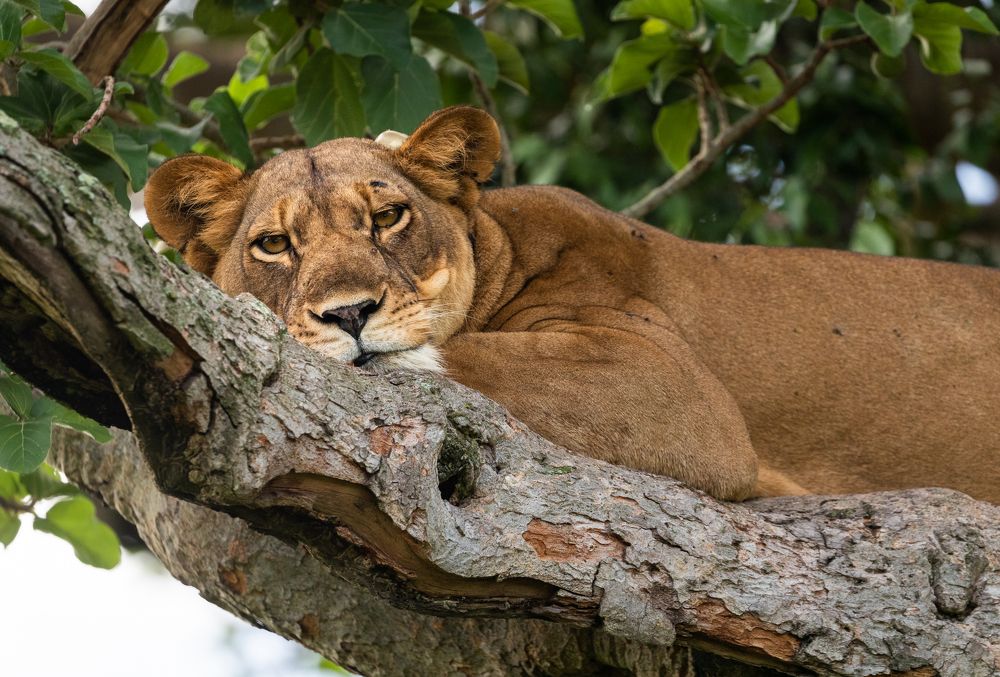 Photograph by Александр Лозицкий