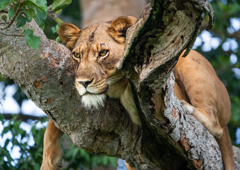 Photograph by Александр Лозицкий