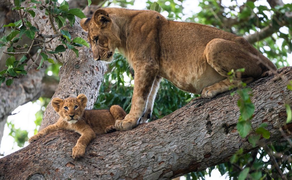 Photograph by Александр Лозицкий