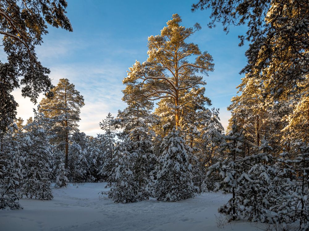 Photograph by Владимир Карпов