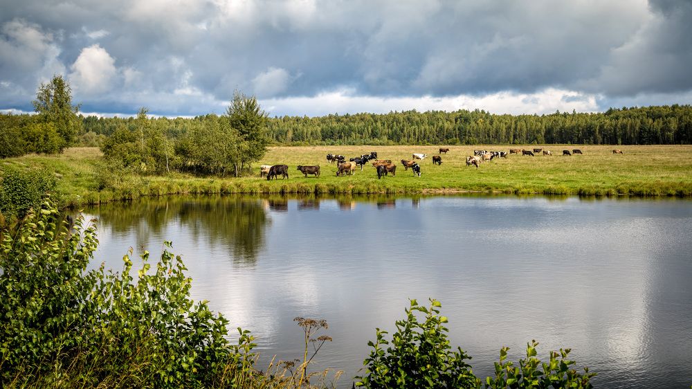 Photograph by Владимир Карпов