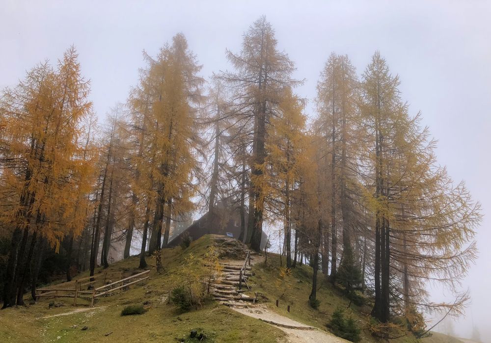 Photograph by Boris Pušnik