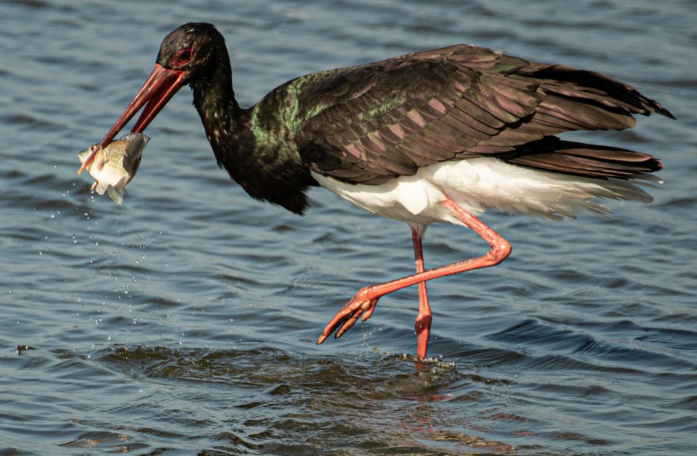 Photograph by Tatyana Klimenko