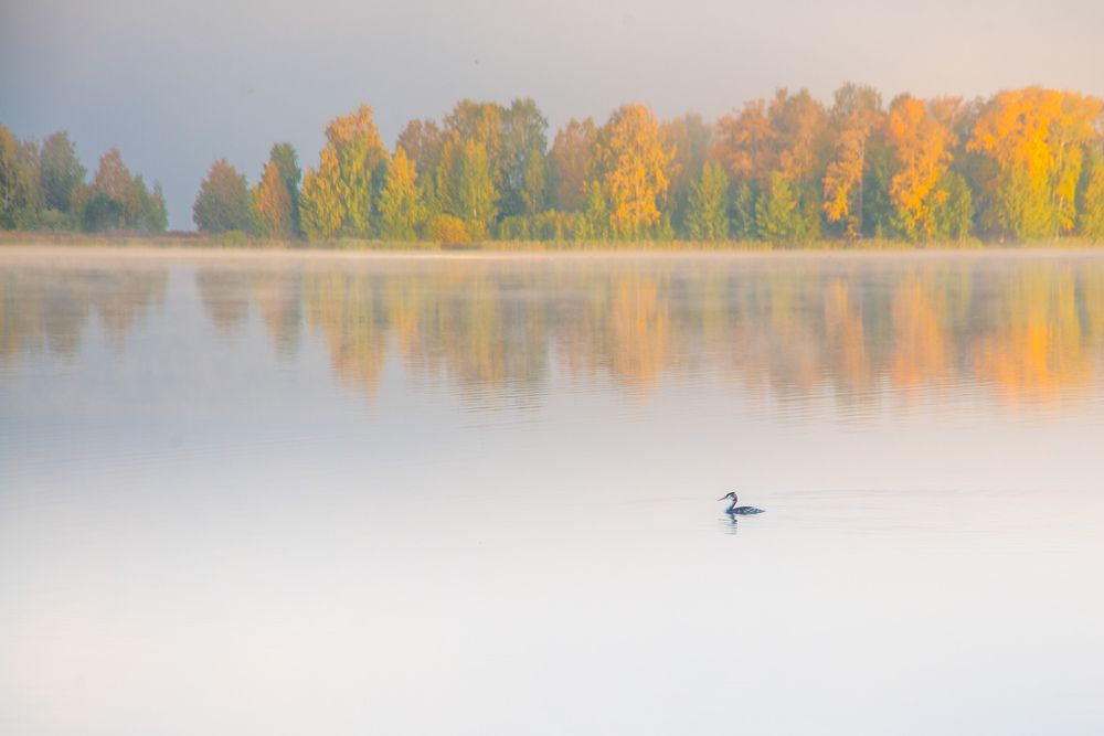 Photograph by Анастасия Глазюк