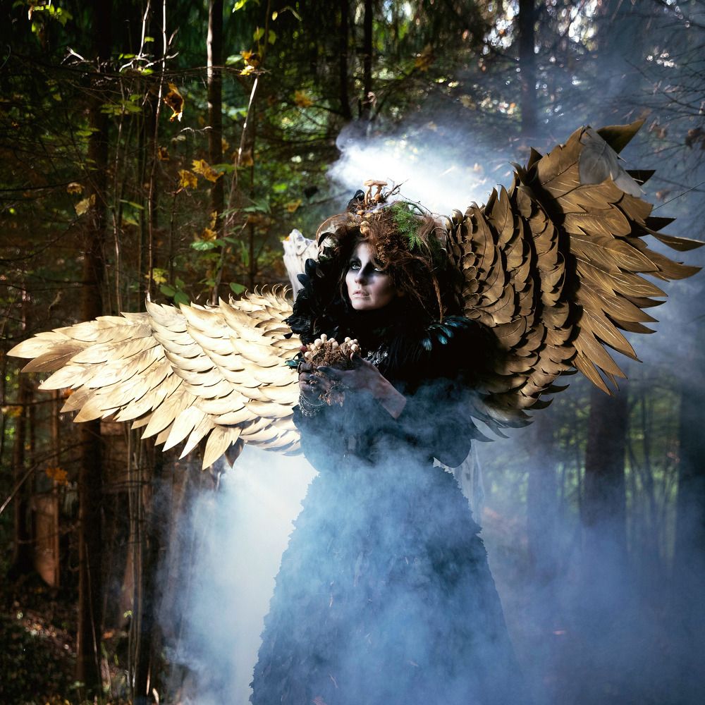 Фотография автора Ольга Дробышева