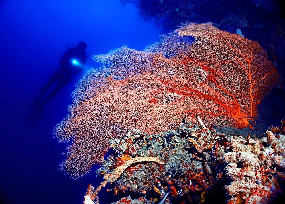 Photograph by Aldo Galante