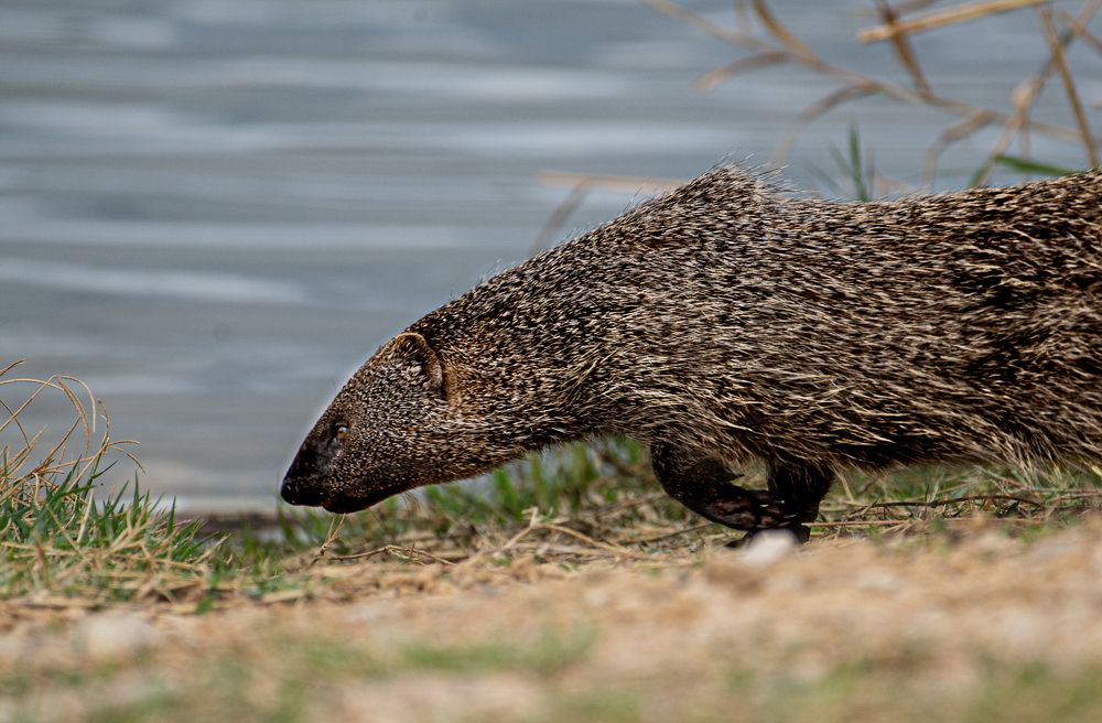 Photograph by Tatyana Klimenko