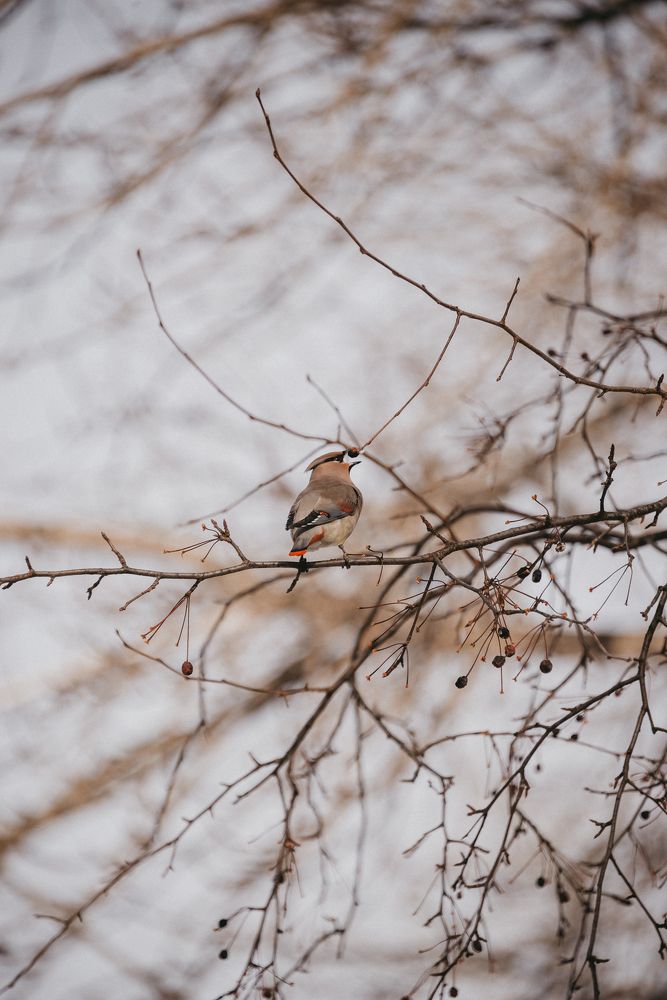 Photograph by Анастасия Мирошникова