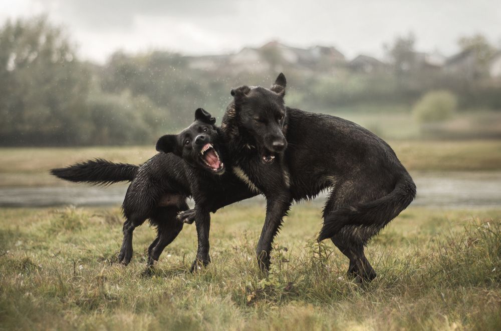 Photograph by Maryna