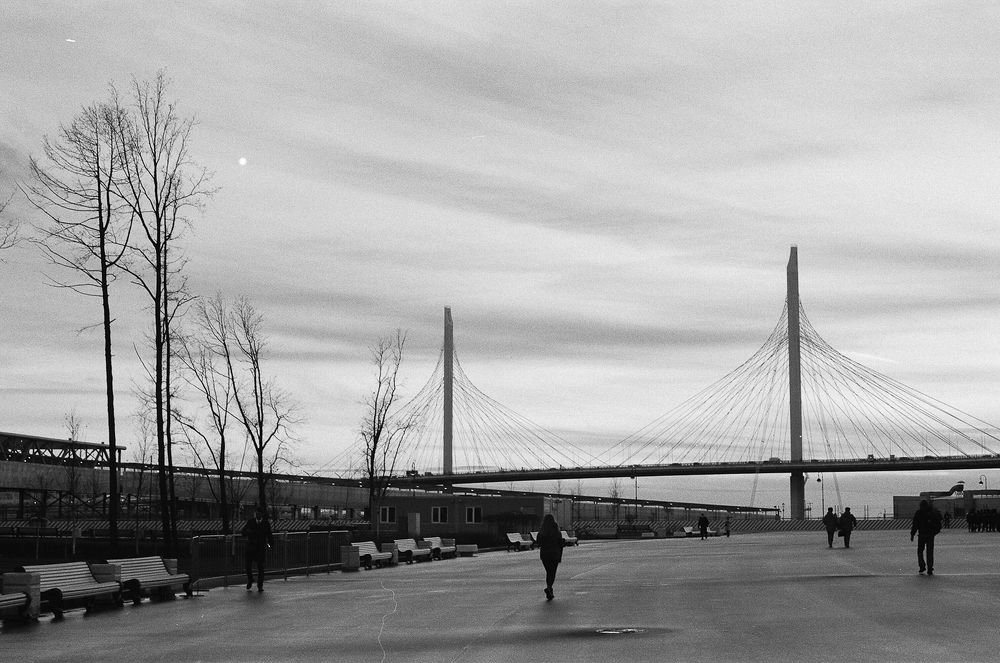 Вантовый мост