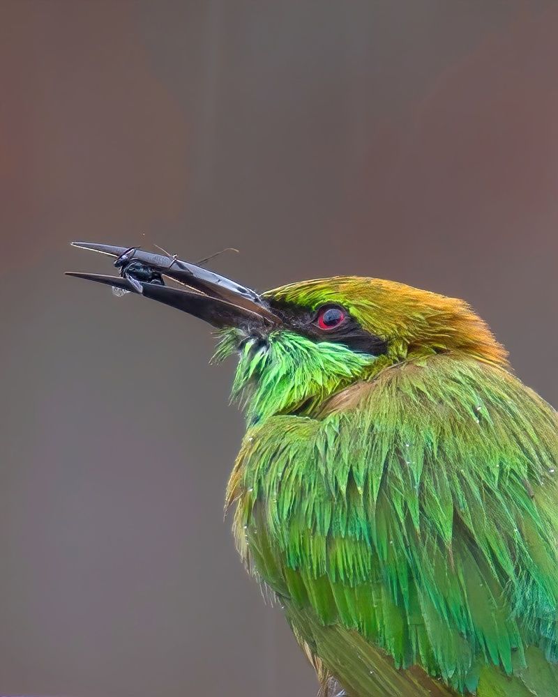 Photograph by Madhurya Mozumder