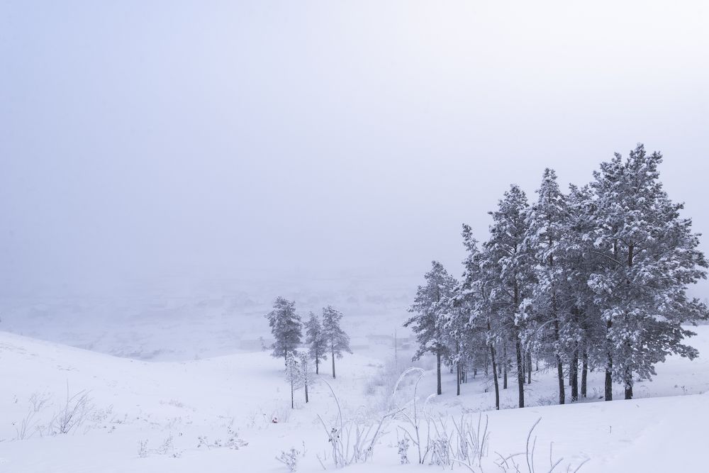 Photograph by Nguyen Nam