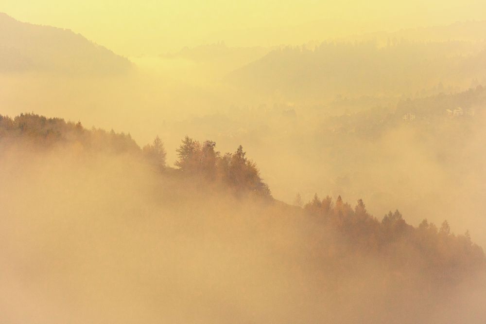 Photograph by Adrian Grigore