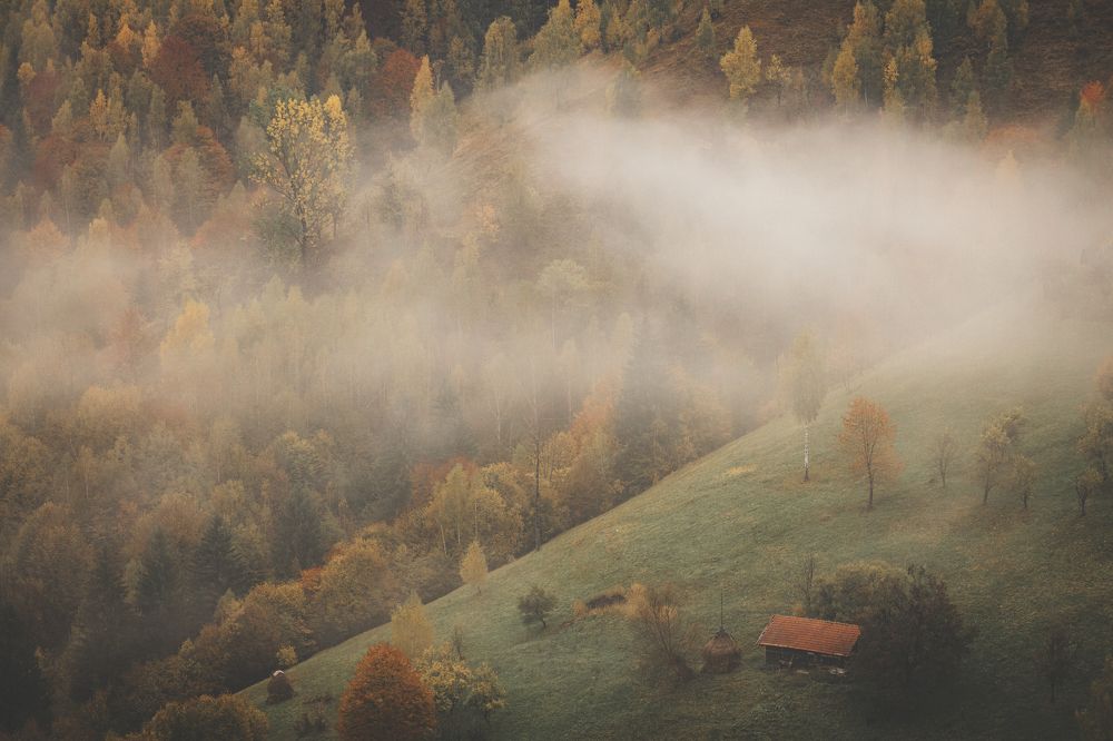 Photograph by Adrian Grigore