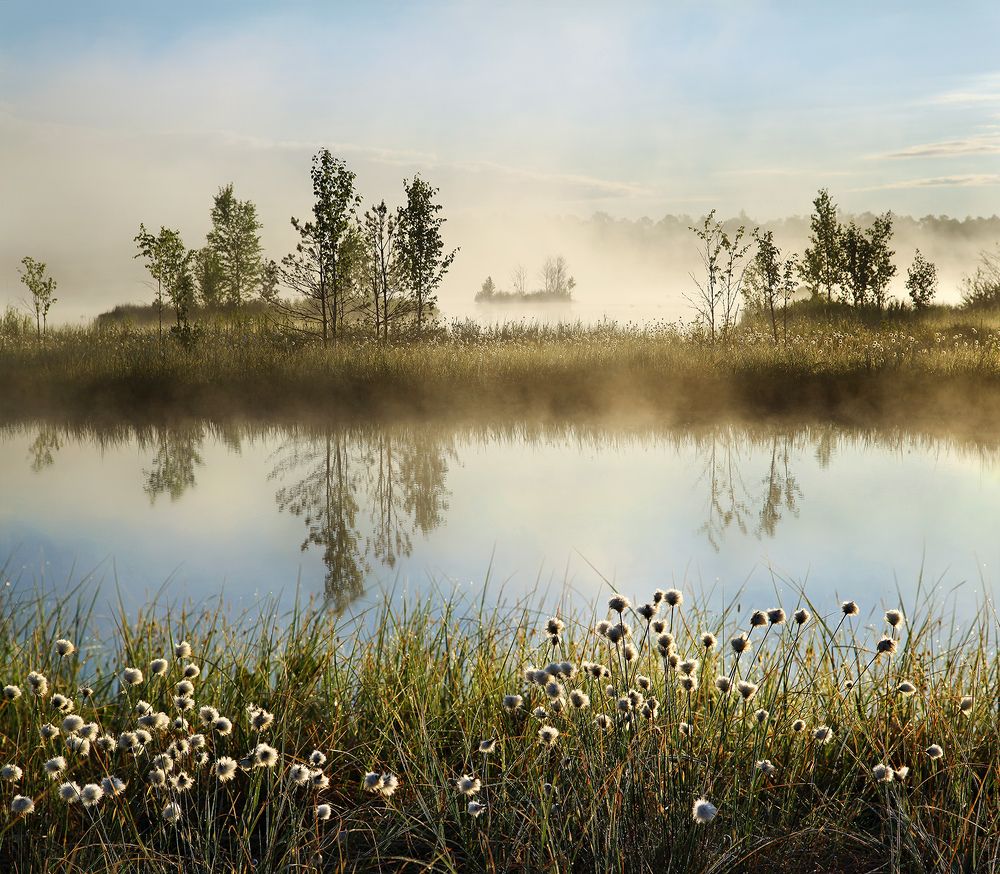 Photograph by Олег Фокин