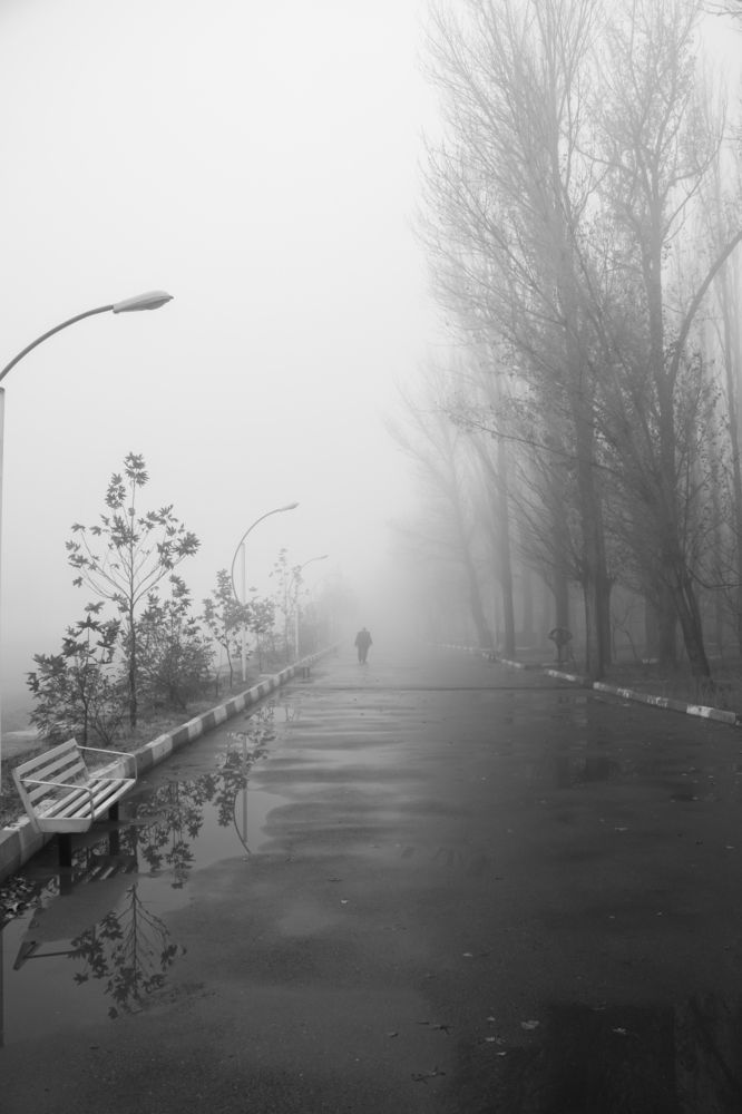 Photograph by Reza Heydari