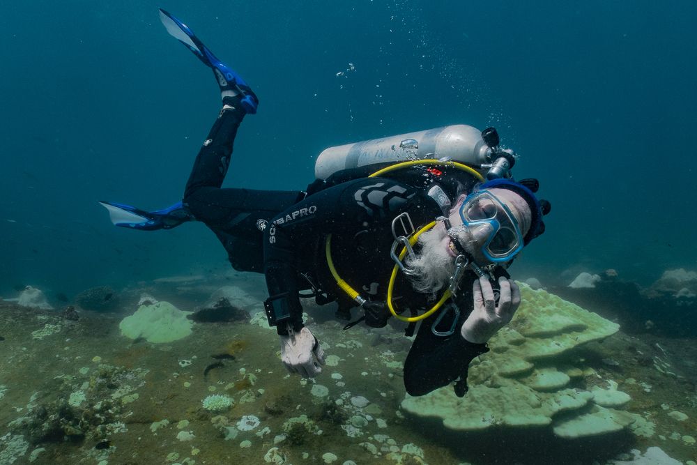 Photograph by H.D.D.A.Sampath Thilakarathna