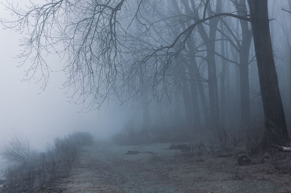 Photograph by Руслан Бабаханов