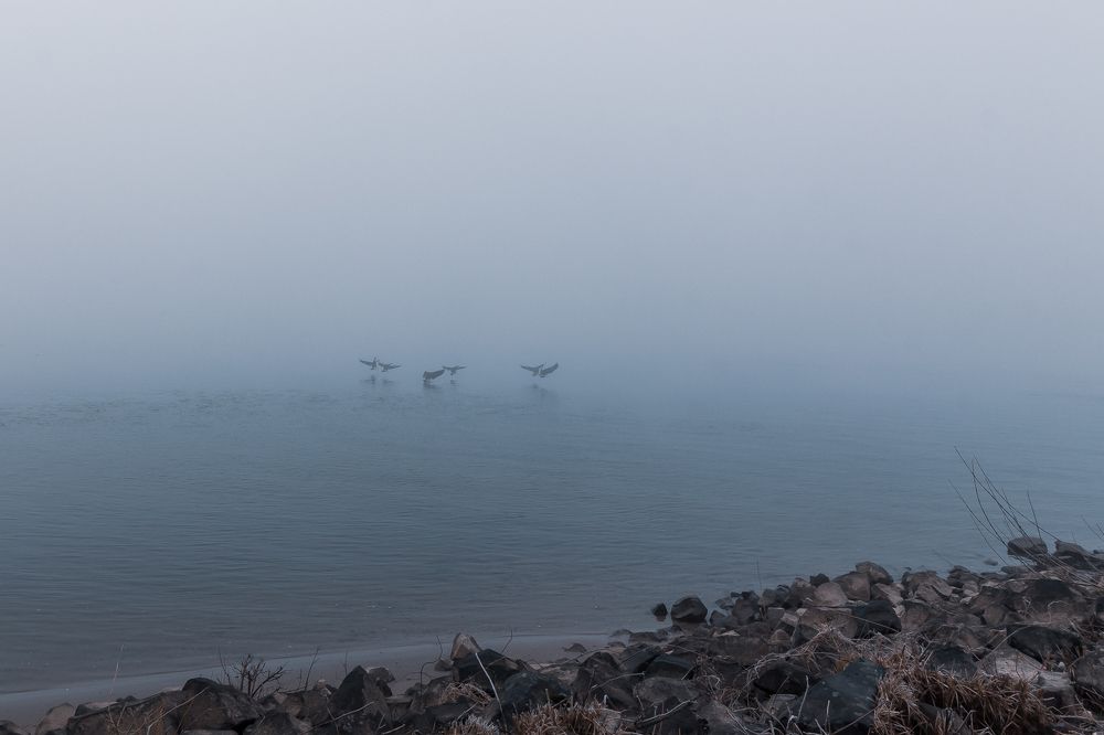 Photograph by Руслан Бабаханов