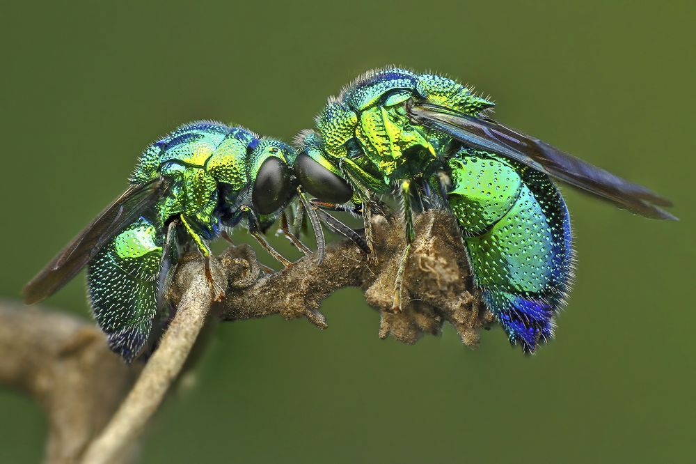 Photograph by  Merlin Selvan