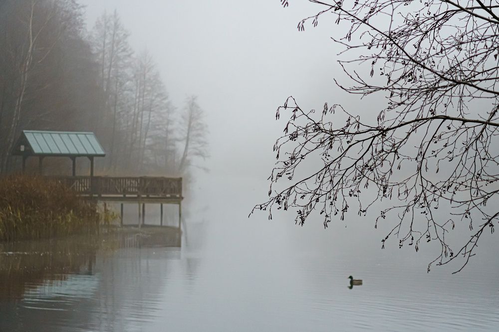 Photograph by Valdis Serzhans