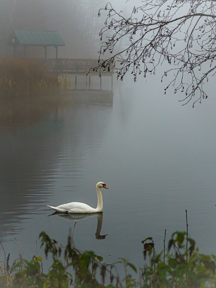 Photograph by Valdis Serzhans