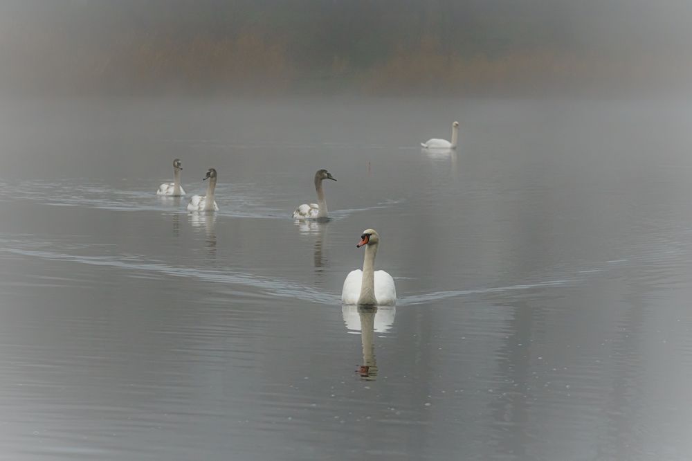 Photograph by Valdis Serzhans