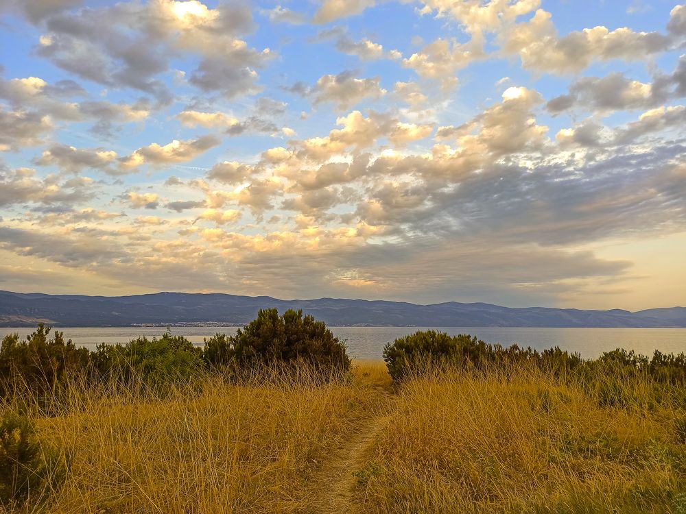 Photograph by Helena