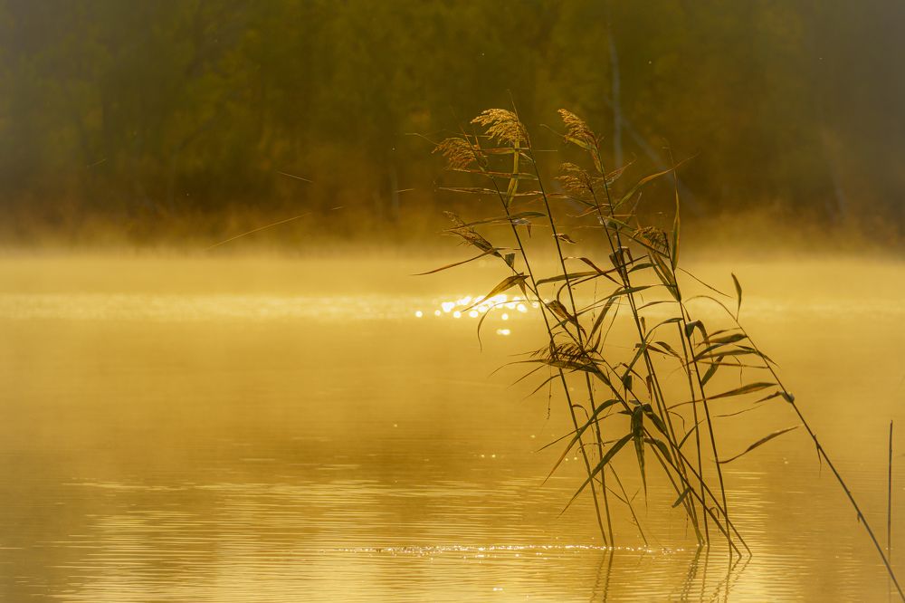 Photograph by Valdis Serzhans