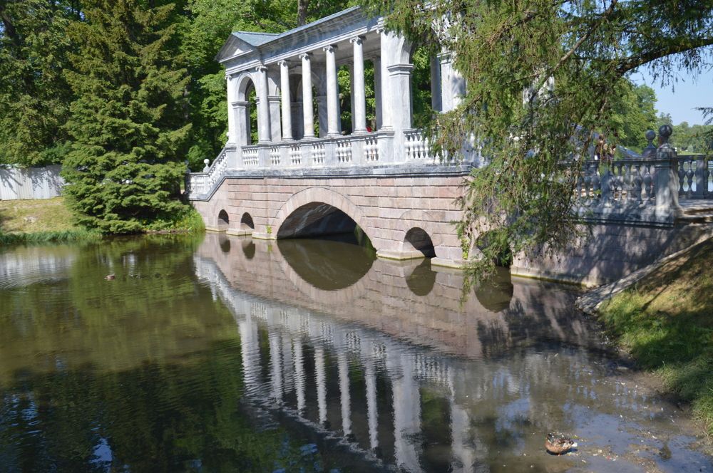 Photograph by Ольга Шевцова