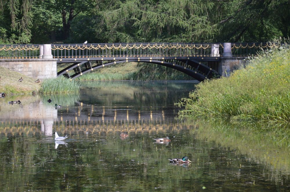 Photograph by Ольга Шевцова