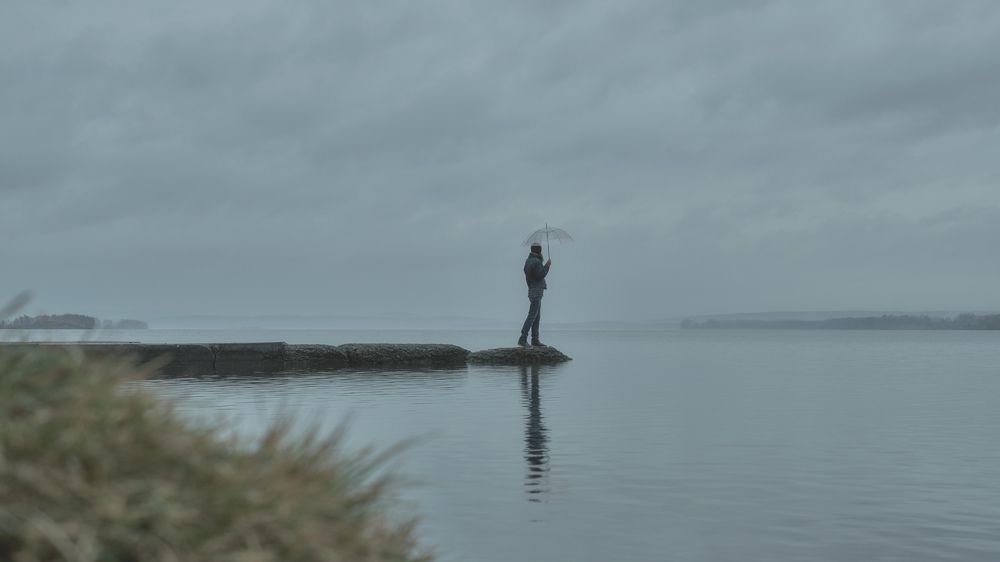 Фотография автора Елена Берсенева