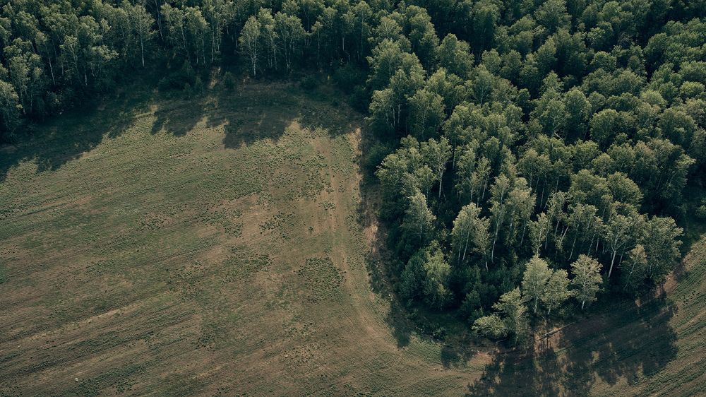 Фотография автора Елена Берсенева