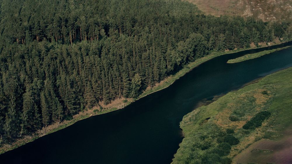 Фотография автора Елена Берсенева