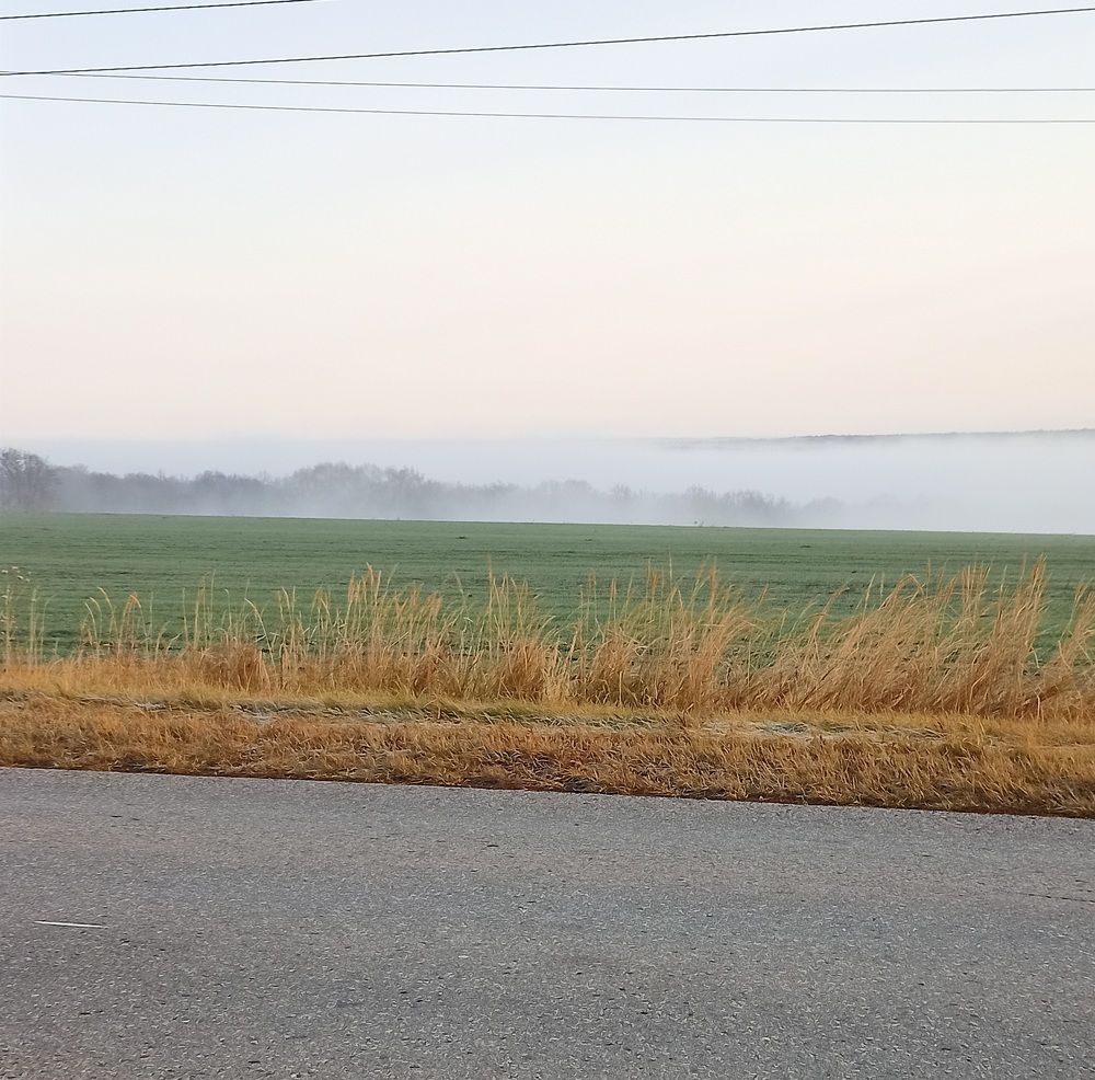 Photograph by Елизавета Мишина