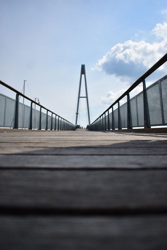 Photograph by Елена Антонова