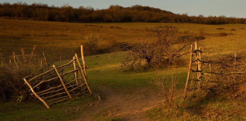 Photograph by Tamerlan