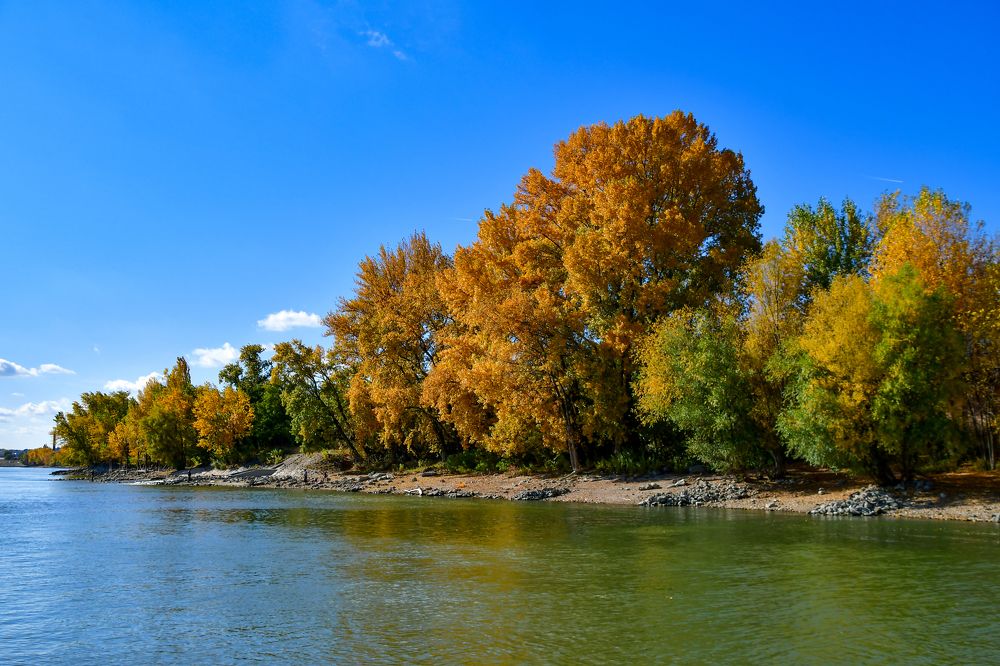 Photograph by Attila Mező