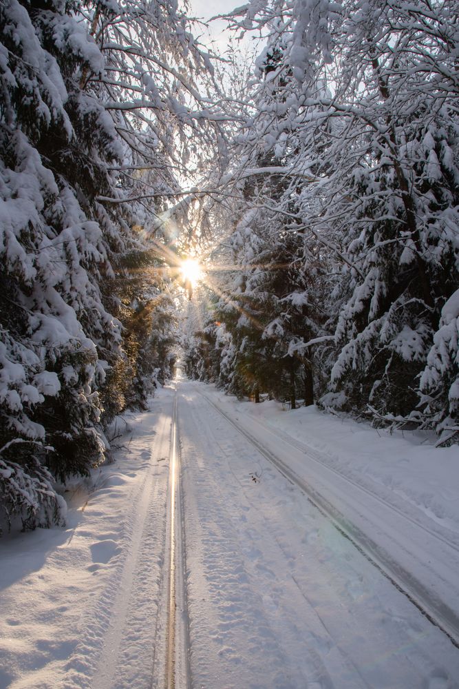 Фотография автора Геннадий Коробов