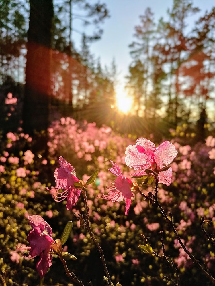 Photograph by Светлана