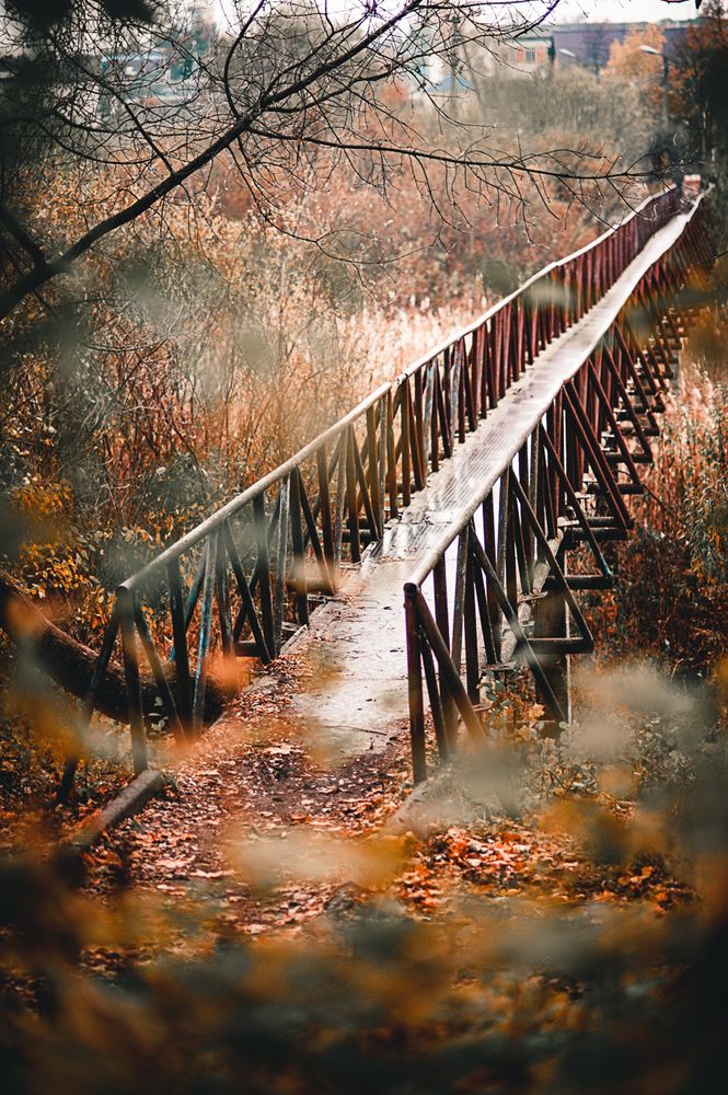 Photograph by Денис Спесивцев