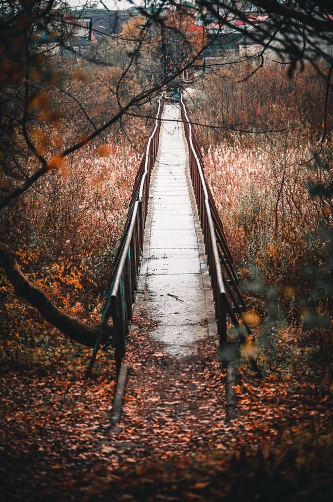 Photograph by Денис Спесивцев