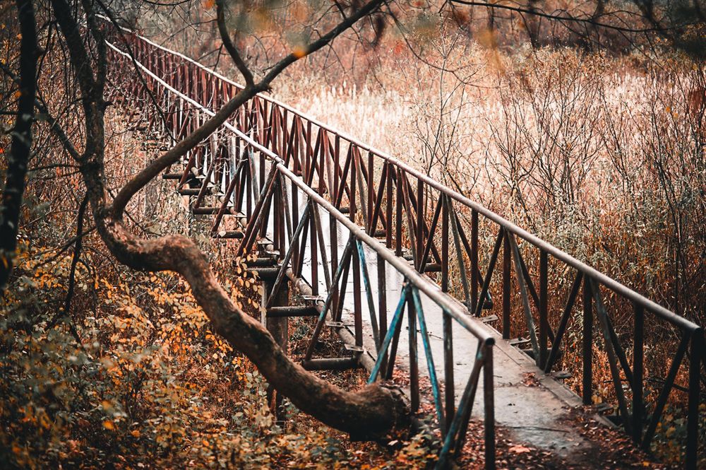 Photograph by Денис Спесивцев