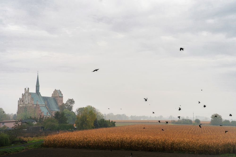 Photograph by Вячеслав Карабаш