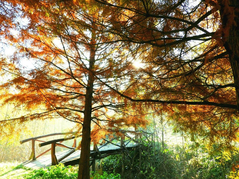 Фотография автора Bastini Gabriele