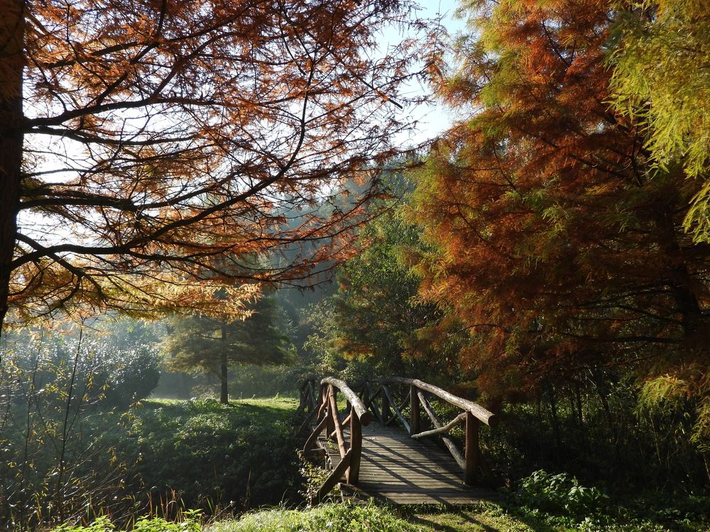 Фотография автора Bastini Gabriele