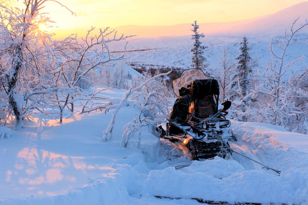 Photograph by Геннадий Чесноков
