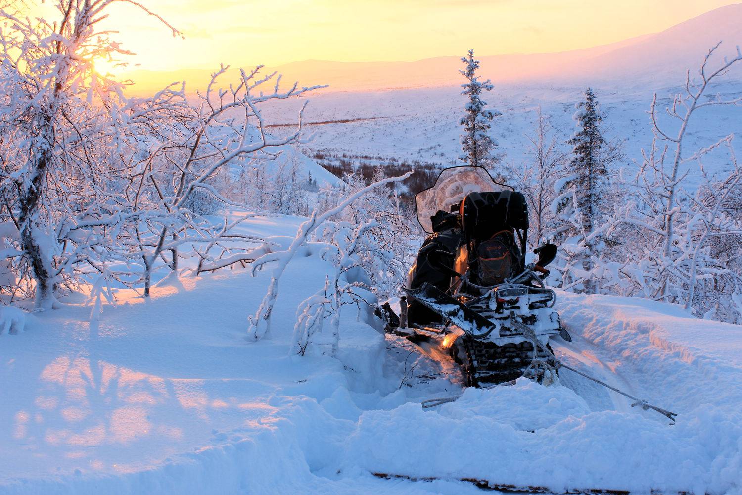 Photo #6793337