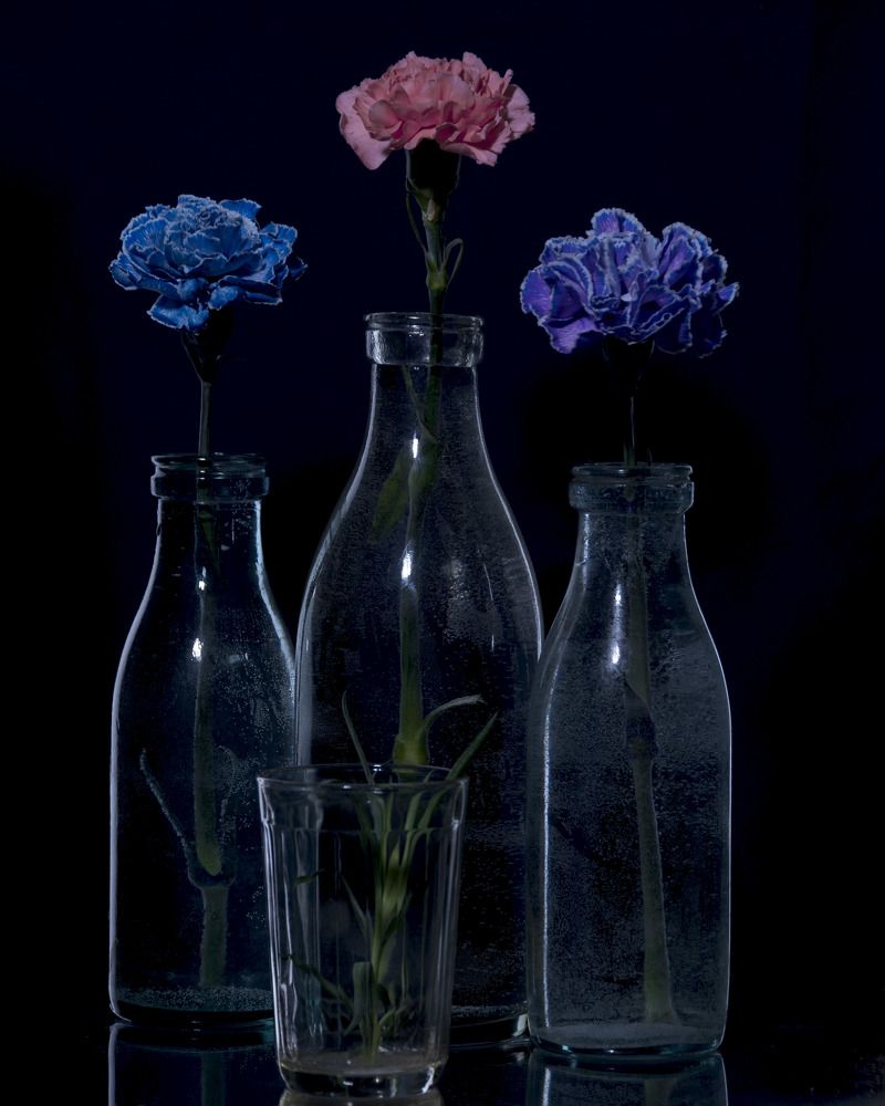 Photograph by Леонид Соснин